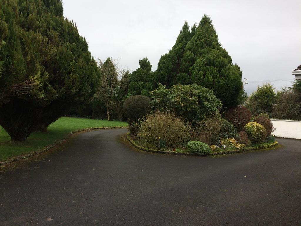 Palm Grove B&B Cashel (Tipperary) Exterior photo