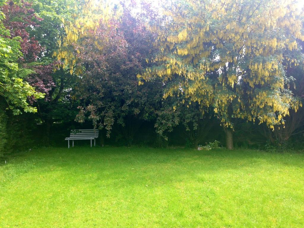 Palm Grove B&B Cashel (Tipperary) Room photo